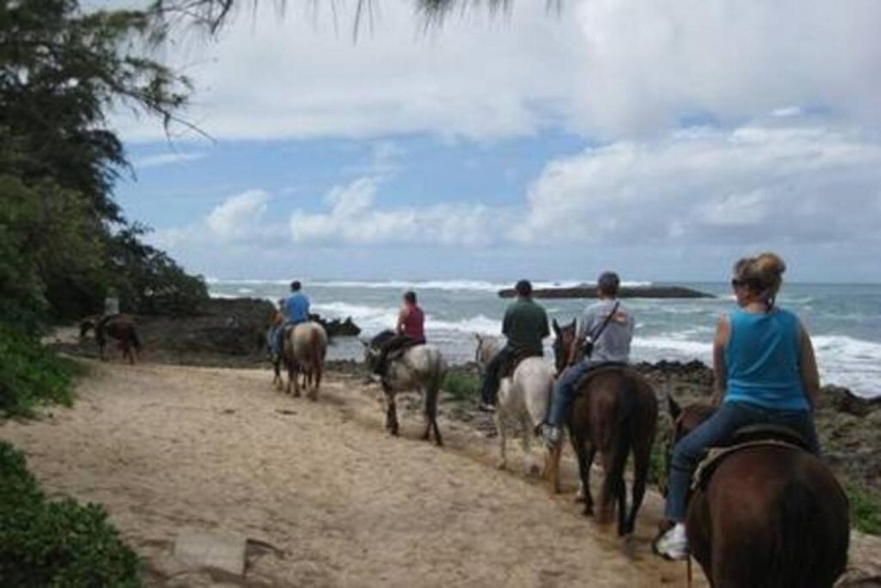 The Perfect Family Destination Βίλα Kahuku Εξωτερικό φωτογραφία